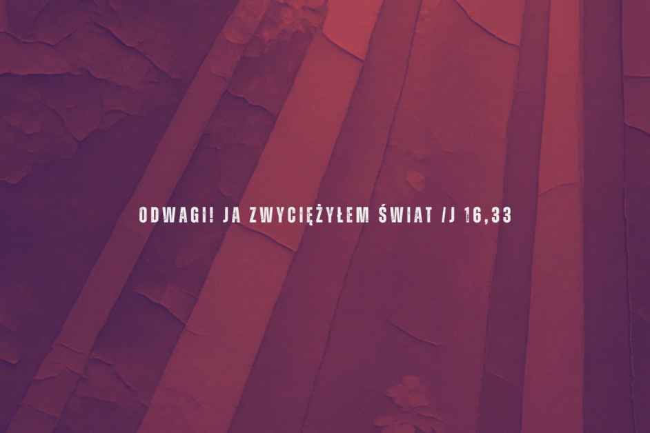 41. Światowe Dni Młodzieży Diecezji Łomżyńskiej